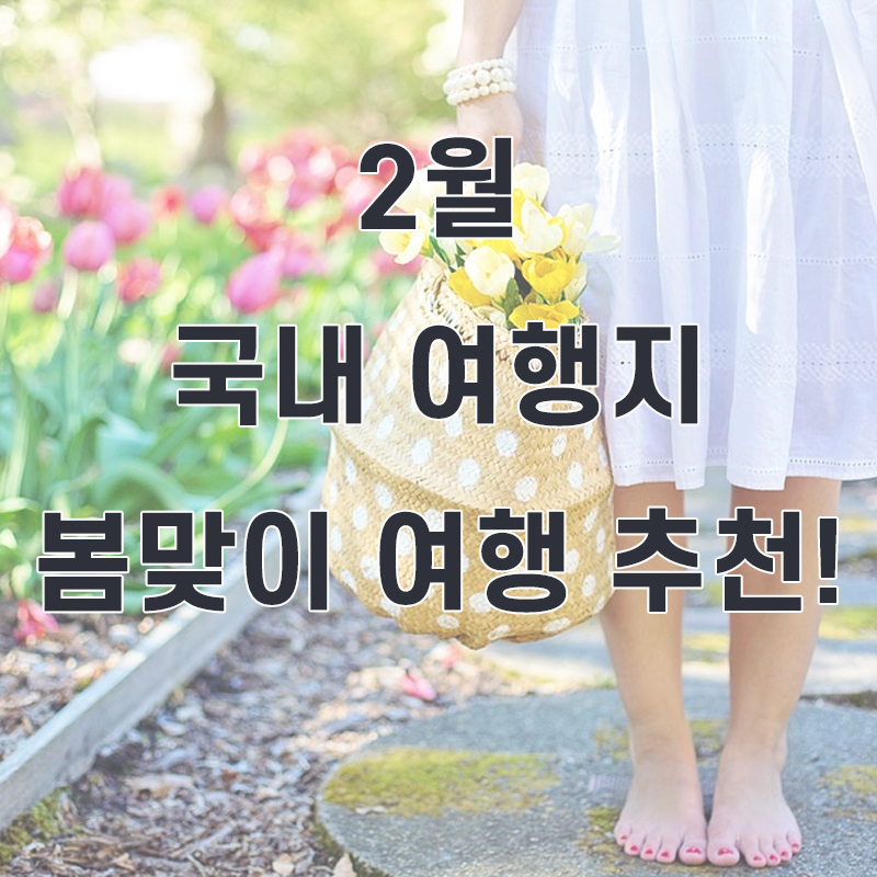  2월 국내 여행지 추천!, 봄맞이 여행