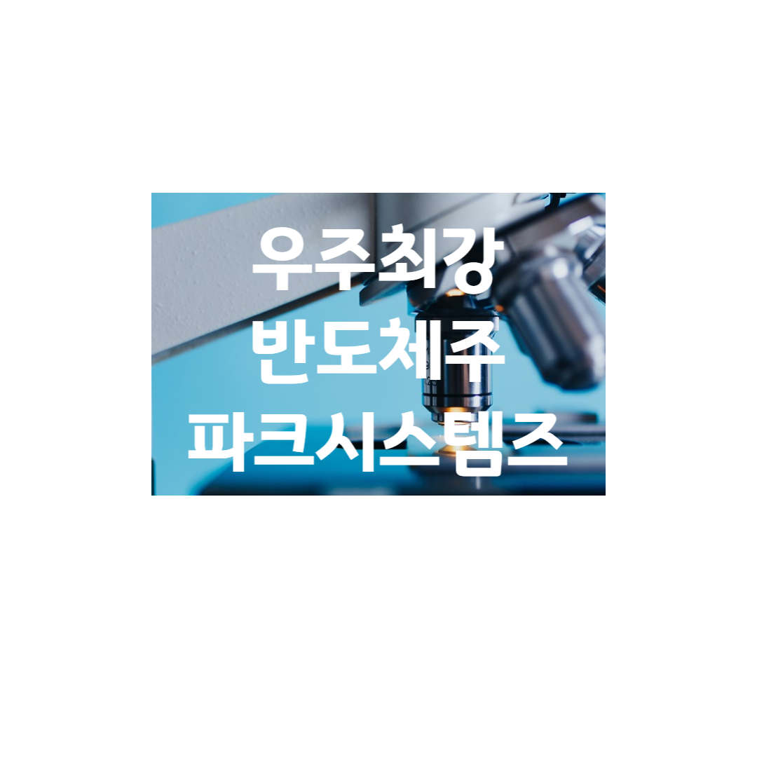  [파크시스템스] 우주최강 반도체 장비주