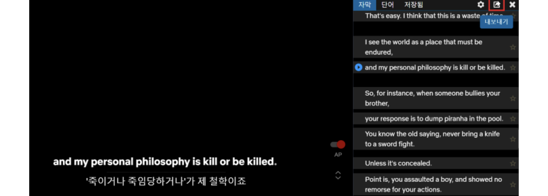  OTT 이중자막으로 영어공부 하기(넷플릭스, 디즈니플러스)