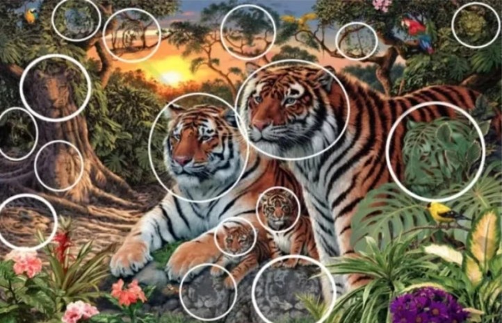 16마리의 호랑이를 찾아라! How Many Tigers Are Hidden Within This Picture?