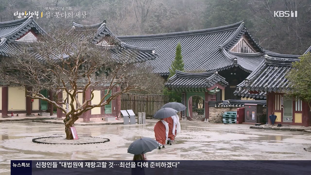 다큐 인사이트.E185.240517p-NEXT.mp4_20240517_202641.176.jpg