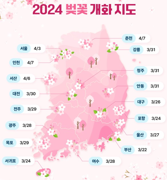 2024년 벚꽃 개화시기를 알려주는 지도