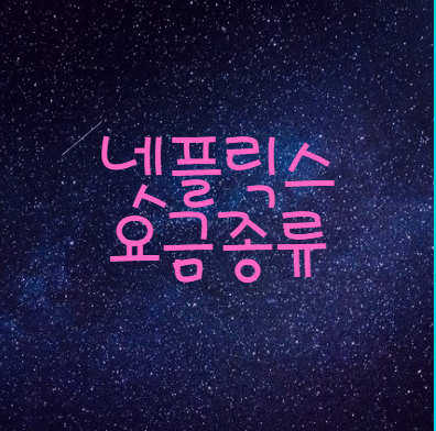 넷플릭스 요금제