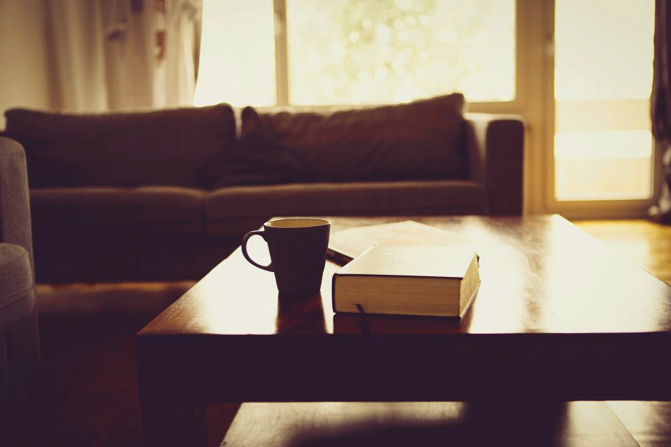 봄의 하인 같은 사위 김유정 2