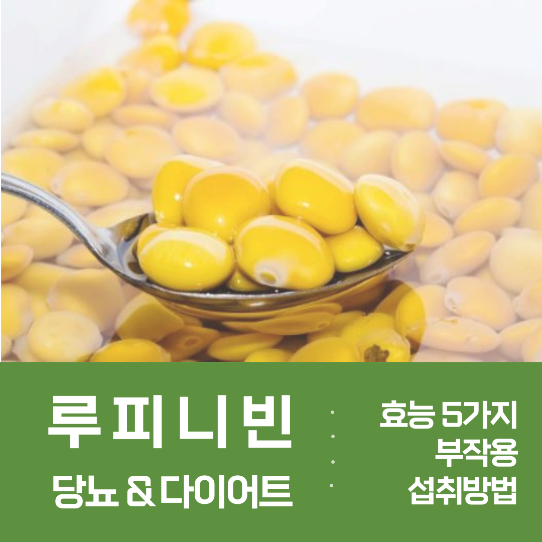 루피니빈 당뇨콩