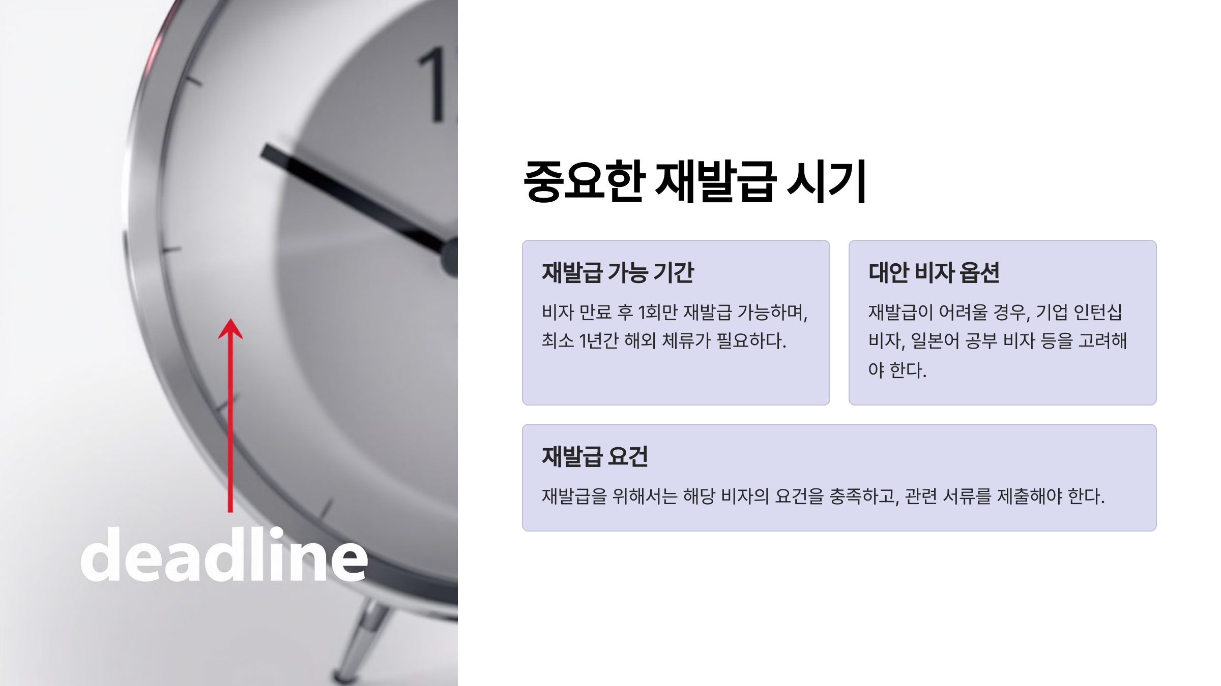 일본 워킹홀리데이 비자 재발급 가능성과 대안 비자 옵션