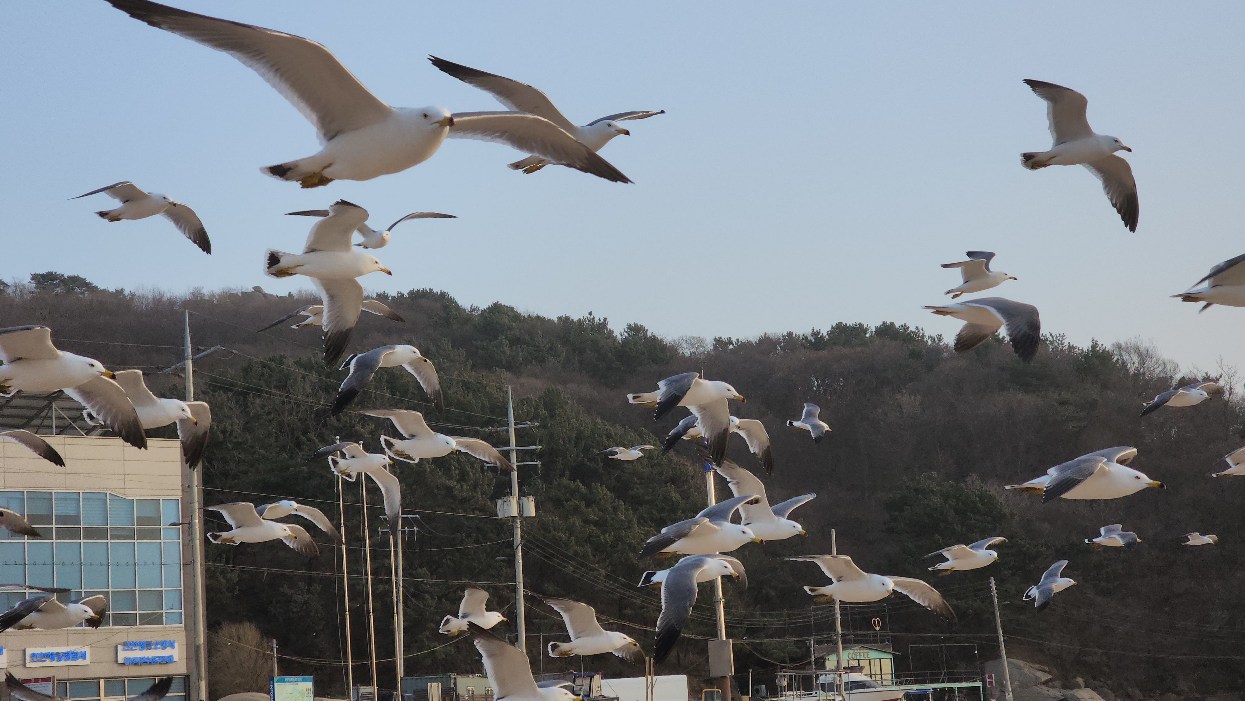 #을왕리 해수욕장 31
