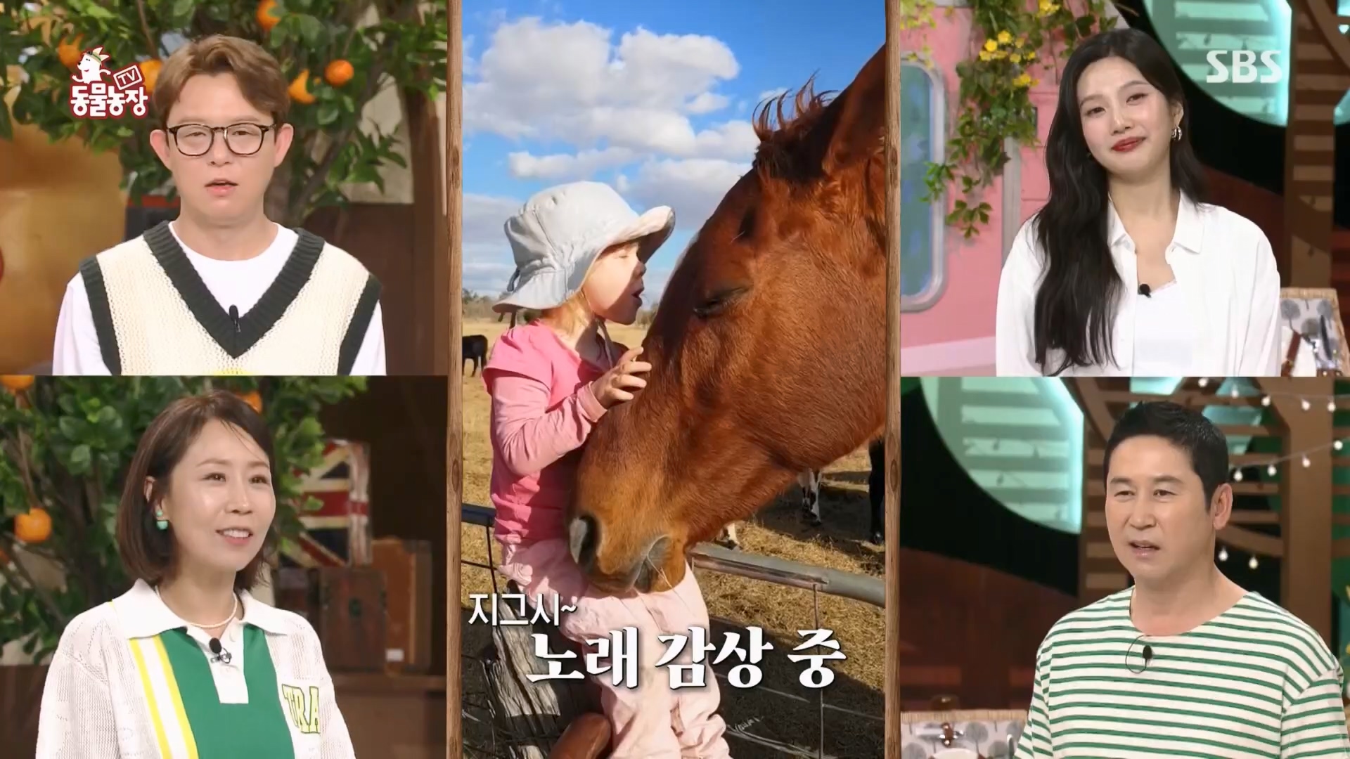 TV 동물농장.E1130.230723p.H264-F1RST.mp4_20230723_171153.371.jpg
