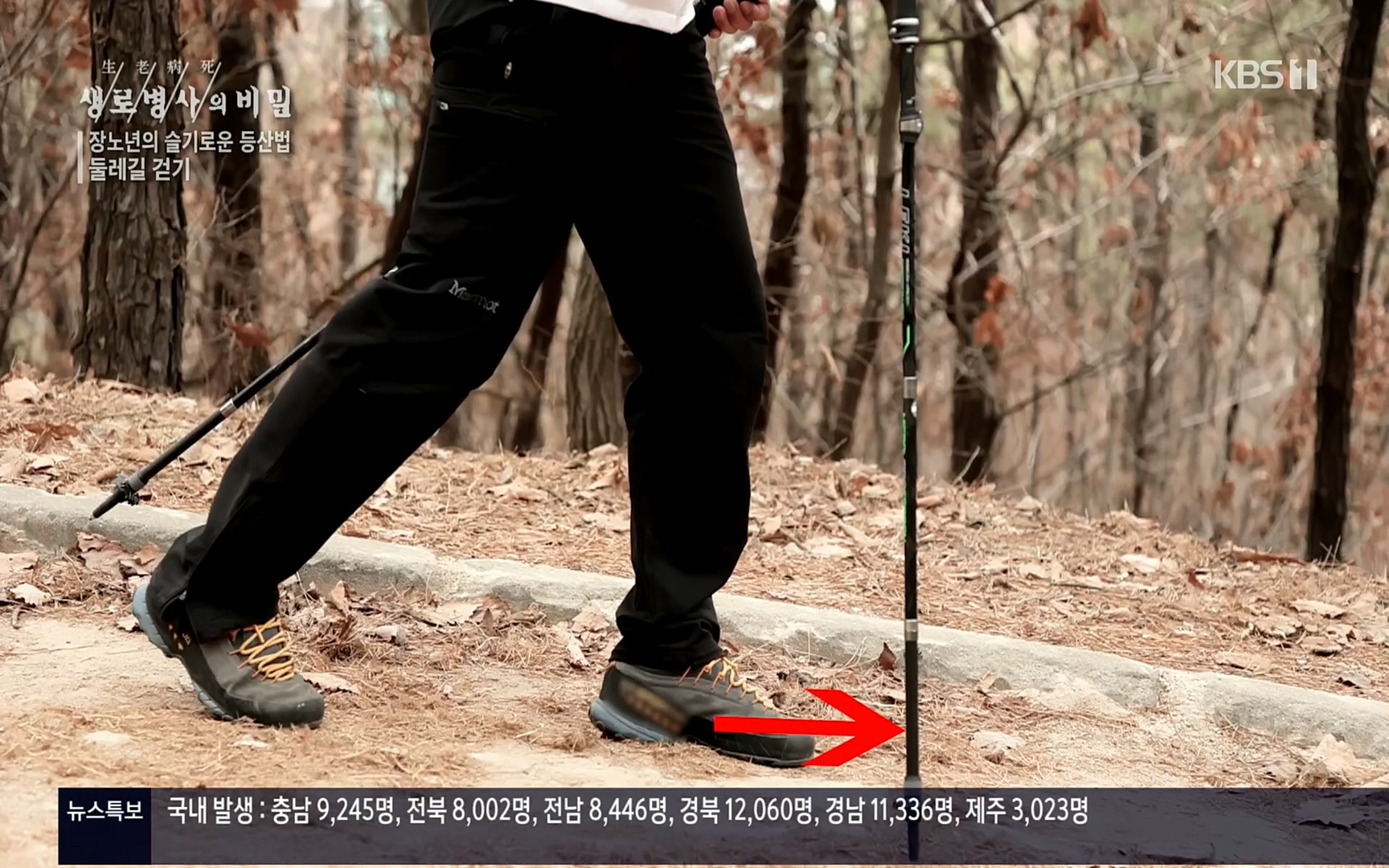 생로병사의 비밀.E816.220413p.H264-F1RST.mp4_20220414_192459.691.jpg