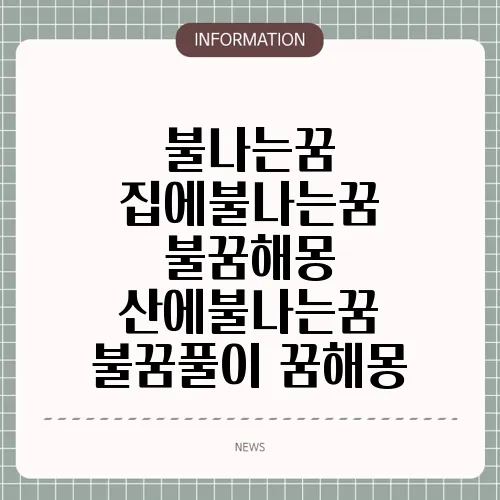 불나는꿈 집에불나는꿈 불꿈해몽 산에불나는꿈 불꿈풀이 꿈해몽