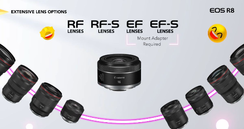 캐논 EOS R8