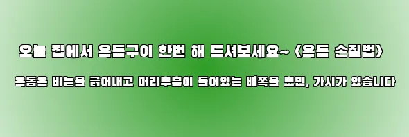  오늘 집에서 옥돔구이 한번 해 드셔보세요~ <옥돔 손질법> 옥돔은 비늘을 긁어내고 머리부분이 들어있는 배쪽을 보면, 가시가 있습니다