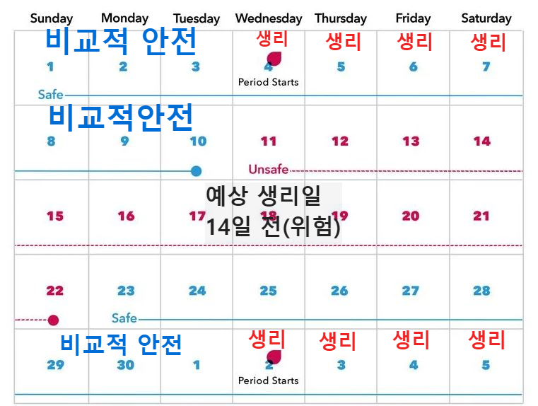 콘돔없이 성관계 안전한 날은?