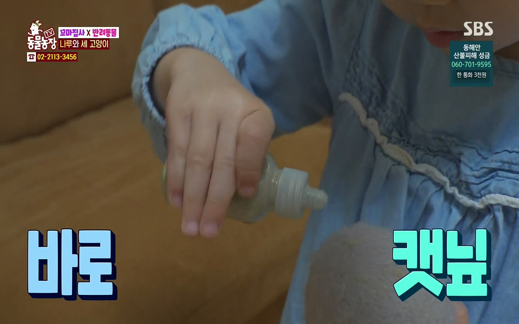 TV 동물농장.E1061.220320p.H264-F1RST.mp4_20220320_183110.510.jpg