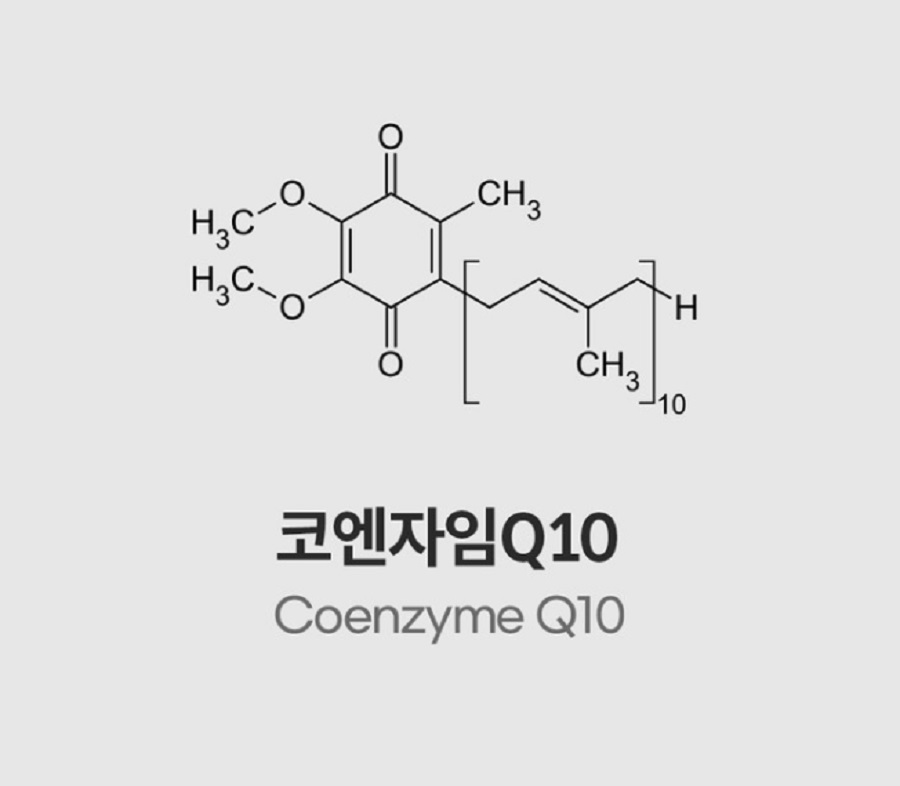 코엔자임큐텐 구조