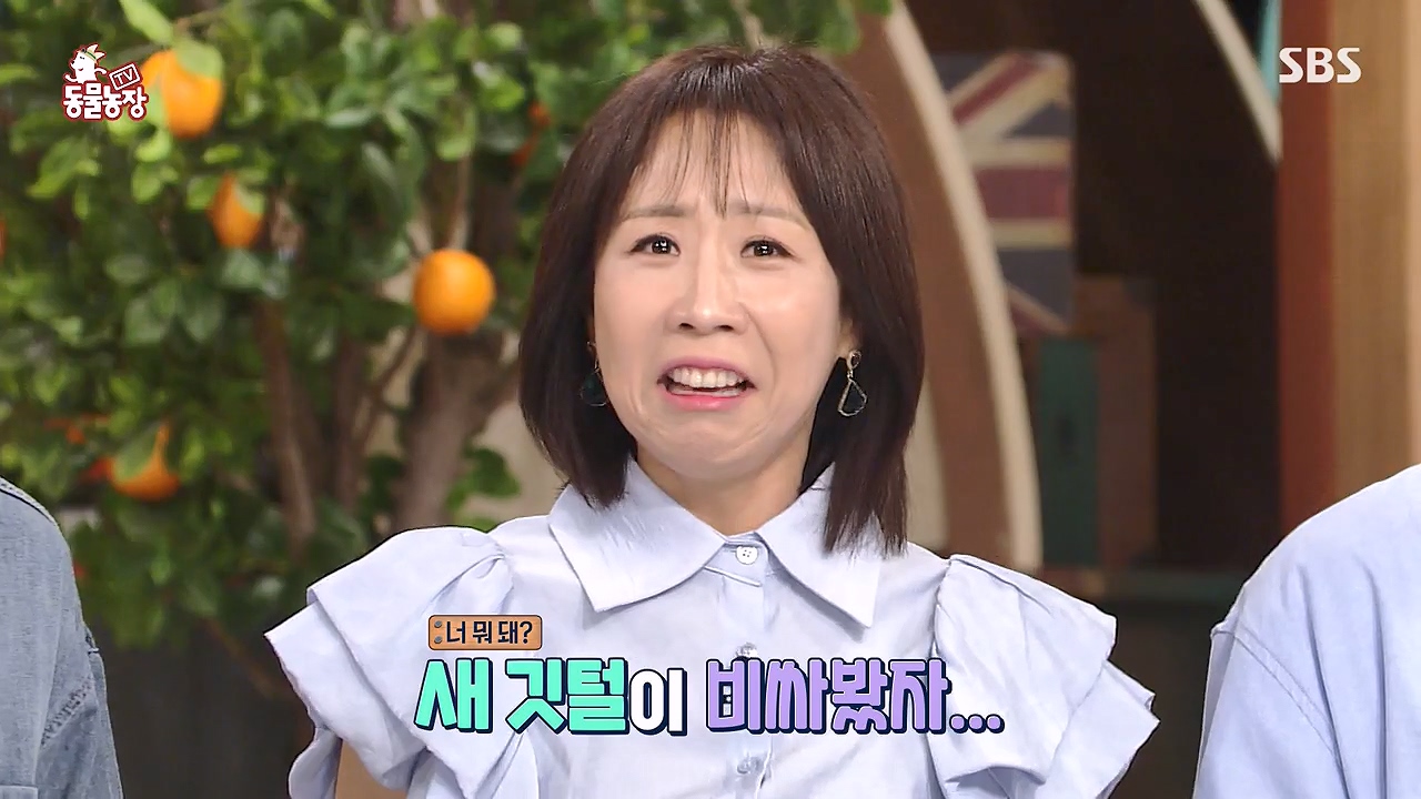 TV 동물농장.E1177.240624p-NEXT.mp4_20240623_163730.041.jpg