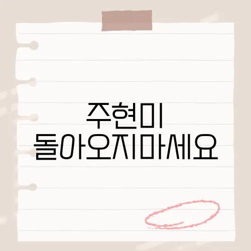 주현미 돌아오지마세요, 가사 속에 담긴 애절한 사연