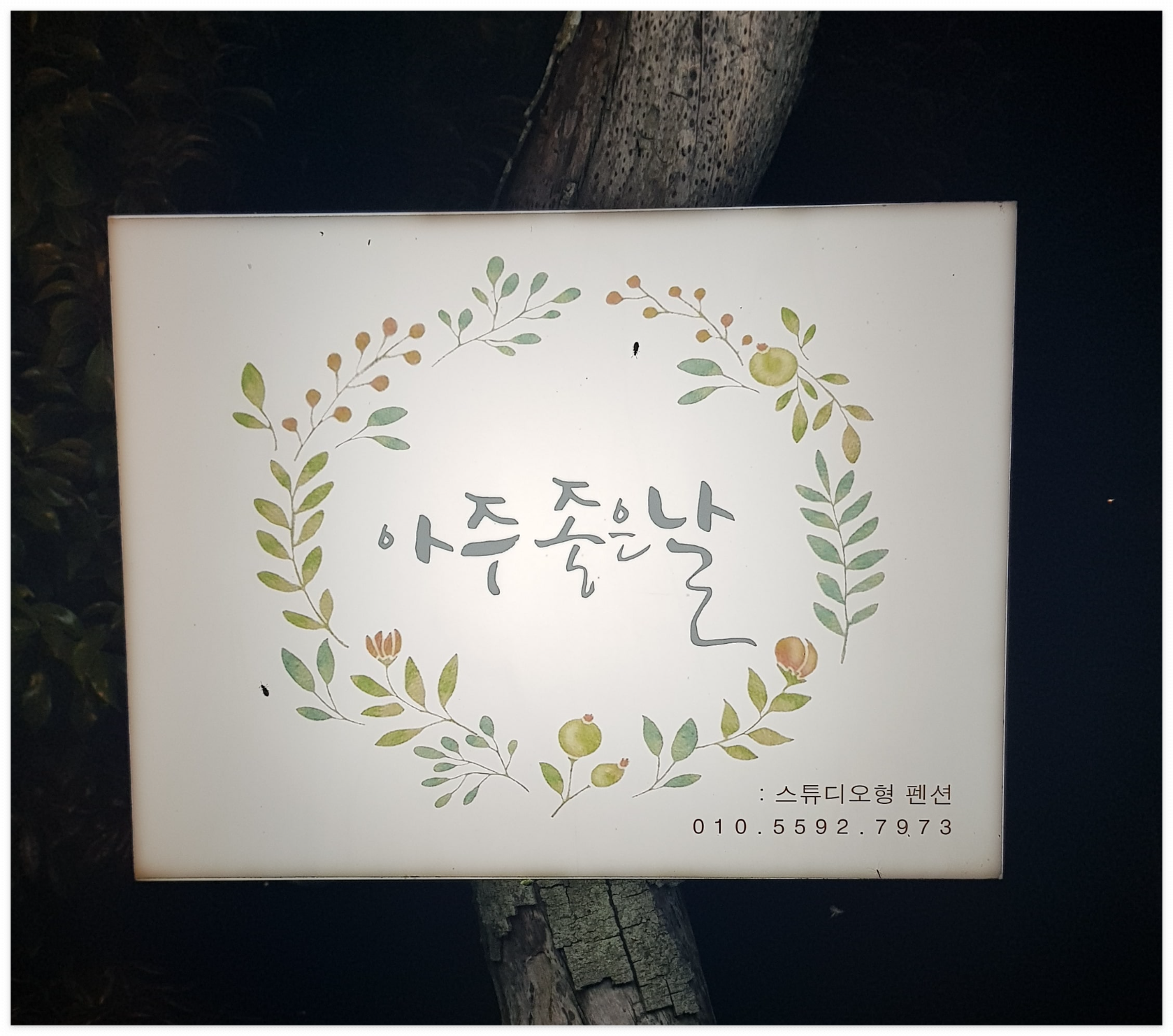  [제주도 서귀포시 펜션]제주도 가족과 쉬기 좋은 독채펜션 추천