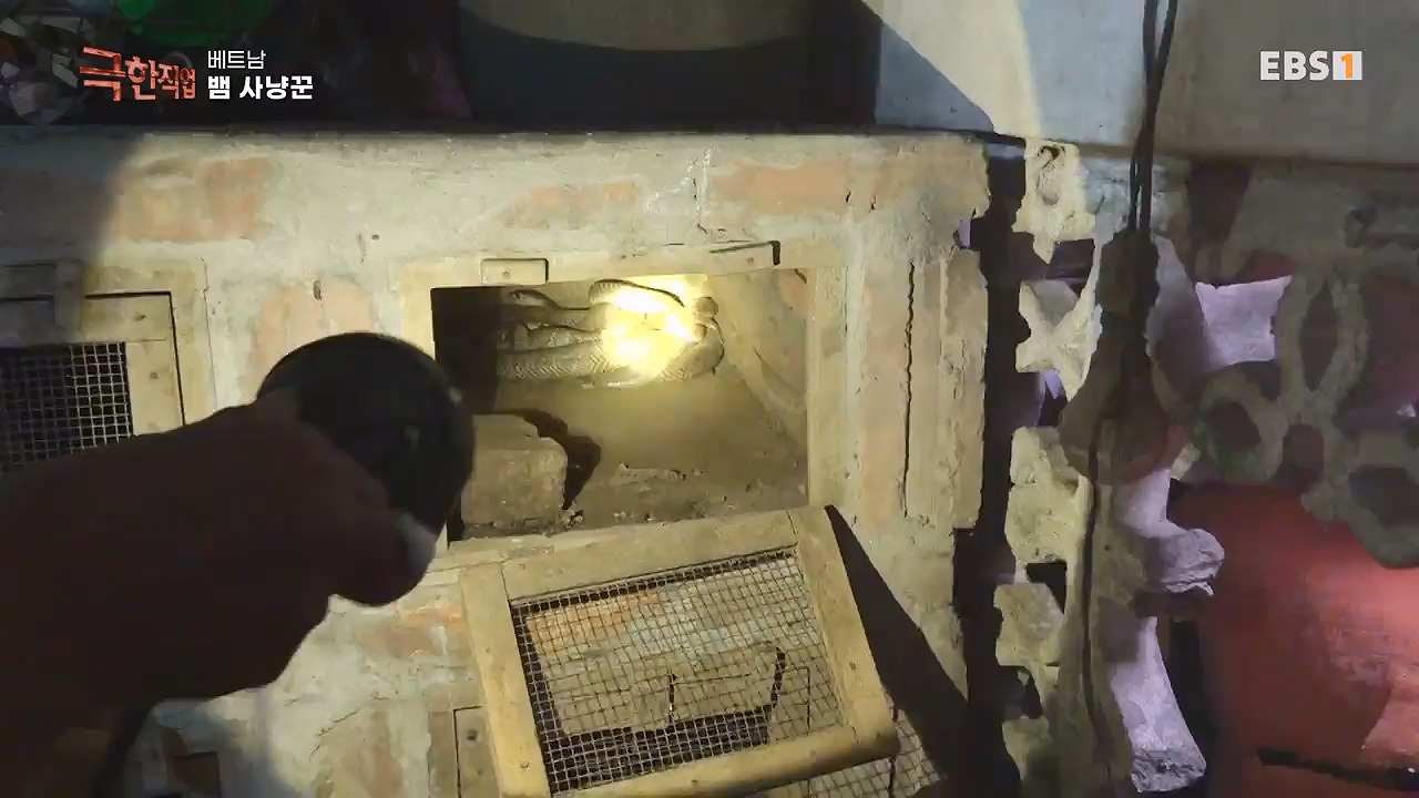 TV - 전 국민의 평생학교 EBS베트남 뱀 마을 사람들.mp4_20240615_170522.862.jpg