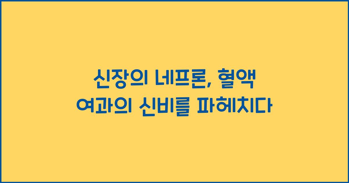 신장의 네프론, 혈액 여과