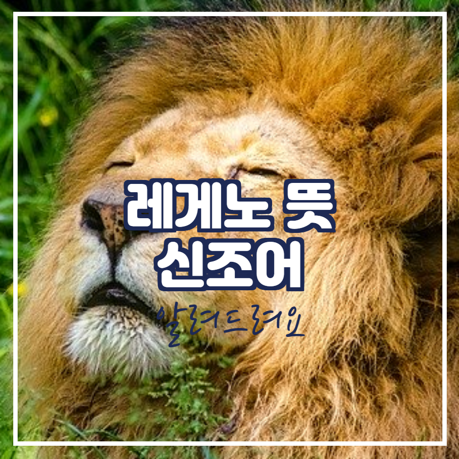  레게노 뜻 재밌는 동물 이미지와 함께 보세요.