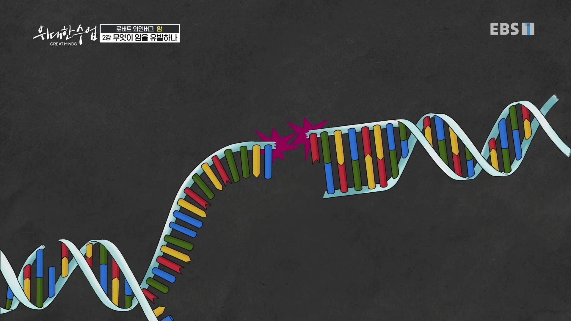 DNA 절단