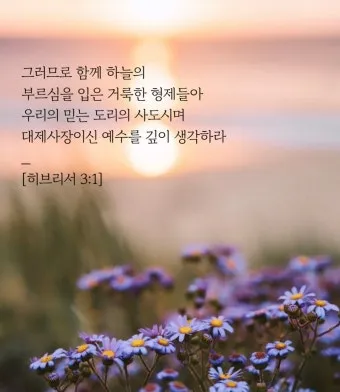 히브리서 1장 하나님의 아들 성경 묵상_11