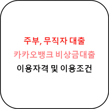  주부 무직자 대출 - 카카오뱅크 비상금대출 상세정보