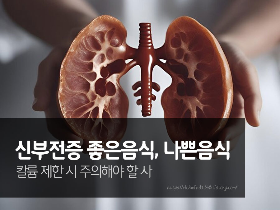 신부전증 음식 식단관리 팁