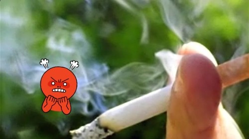  화장실 담배냄새 제거 정말 되네요;;;