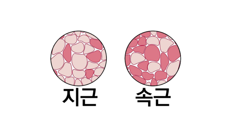 무브라이프짐 이미지