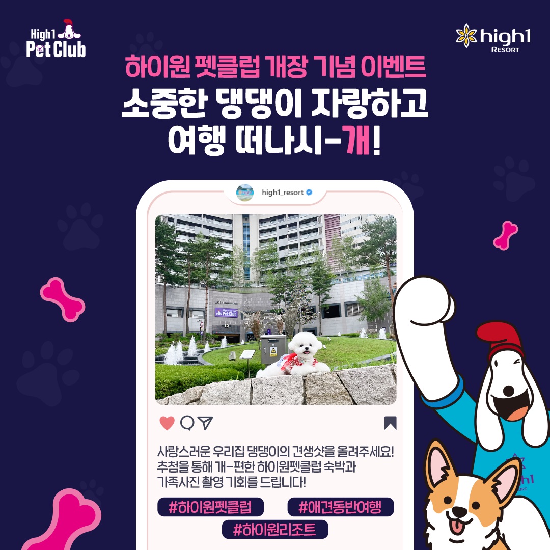 하이원리조트&#44; 1&#44;500만 반려인 대상 견생샷 이벤트 실시