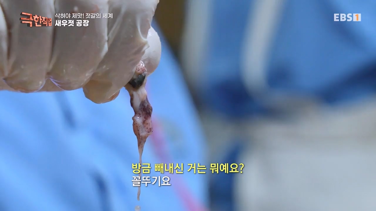 TV - 전 국민의 평생학교 EBS삭혀야 제맛! 젓갈의 세계.mp4_20231125_190844.194.jpg