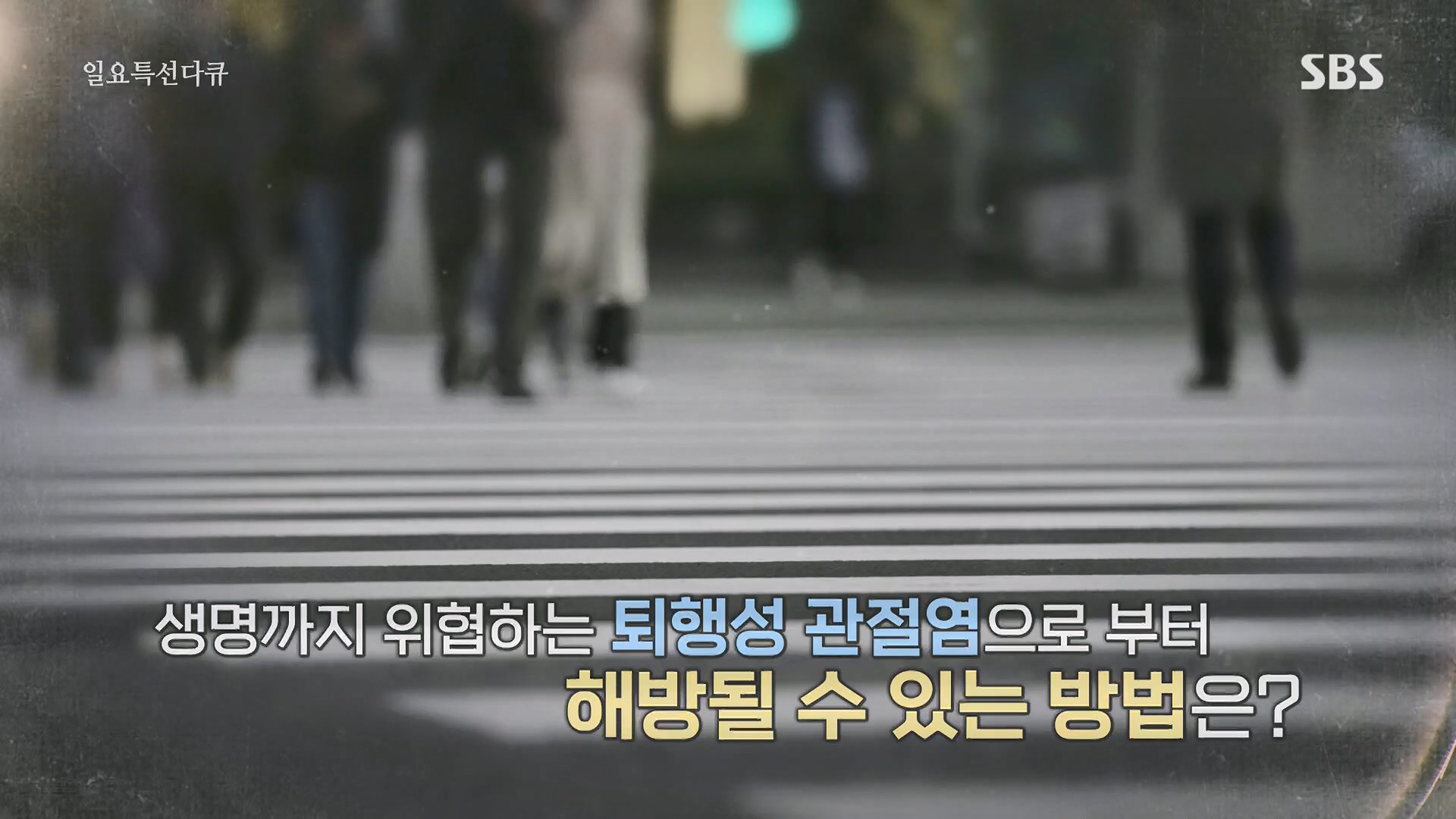 일요 특선 다큐멘터리.E313.230604p.H264-F1RST.mp4_20230605_205019.033.jpg