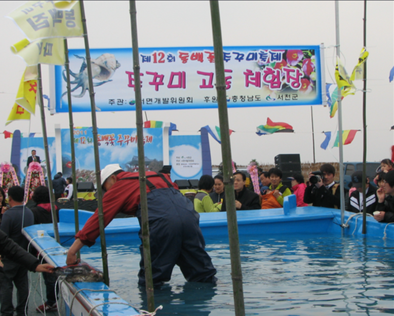2023 서천 동백꽃 쭈꾸미 축제 1