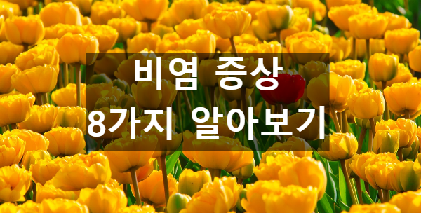  비염 증상 8가지 알아보기