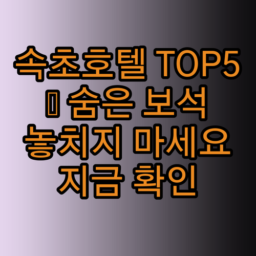 속초 호텔 TOP 5 🤫 숨겨진 보석