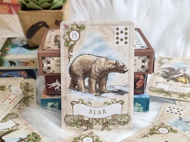 드림타로21 – 올드스타일 레노먼드 15번 곰 / Dreamtarot21 – Old Style Lenormand No.15 곰, 권위와 재정적 힘