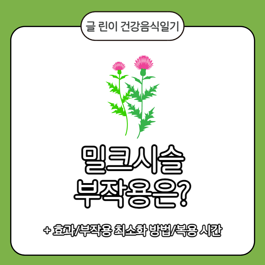  밀크시슬 부작용은?