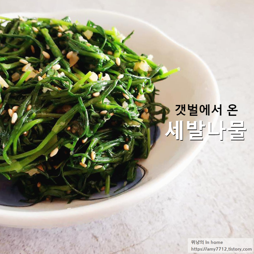  세발나물 무침 만드는 법 _ 갯벌에서 온 영양 만점 봄나물