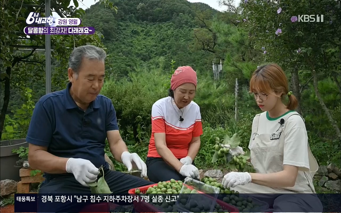 6시 내고향.E7611.220907p.H264-F1RST.mp4_20220908_204242.247.jpg