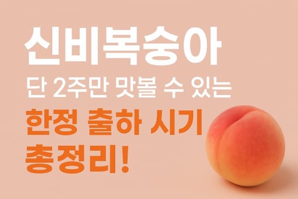 🍑 신비복숭아, 단 2주만 맛볼 수 있는 전설의 복숭아? 한정 출하 시기 총정리!