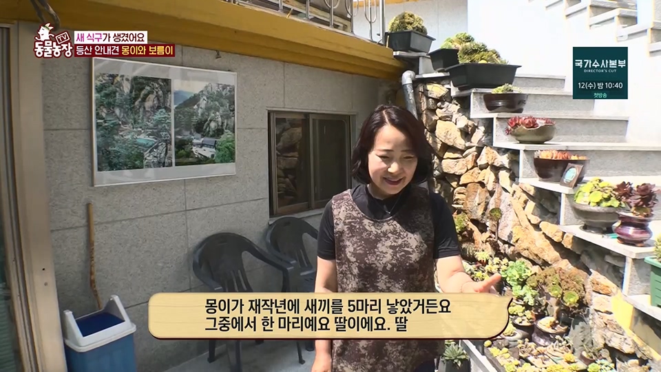 TV 동물농장.E1128.230709p.H264-F1RST.mp4_20230709_183514.956.jpg