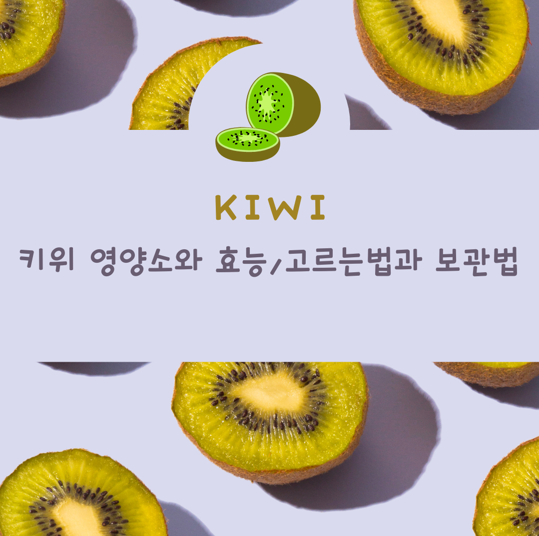  비타민C의 보고 키위 영양소와 효능 고르는법 그리고 보관법