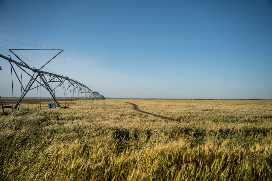 Pivot