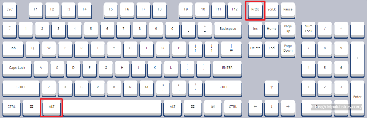 활성화면 캡쳐하기-키입력