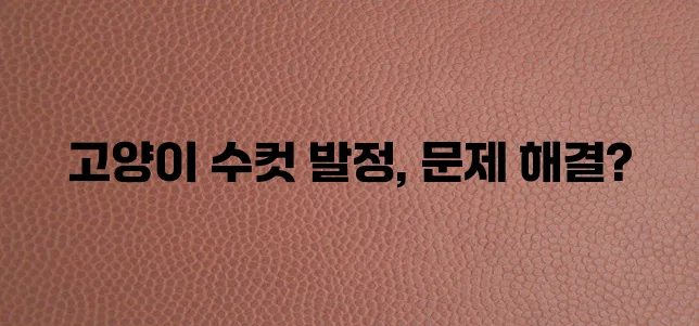 고양이 수컷 발정기 필수 지식과 효과적인 대응 전략을 알아야 합니다!