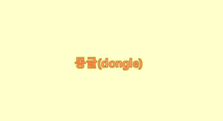  유선 동글(dongle)과 무선 동글(dongle) 네트워크