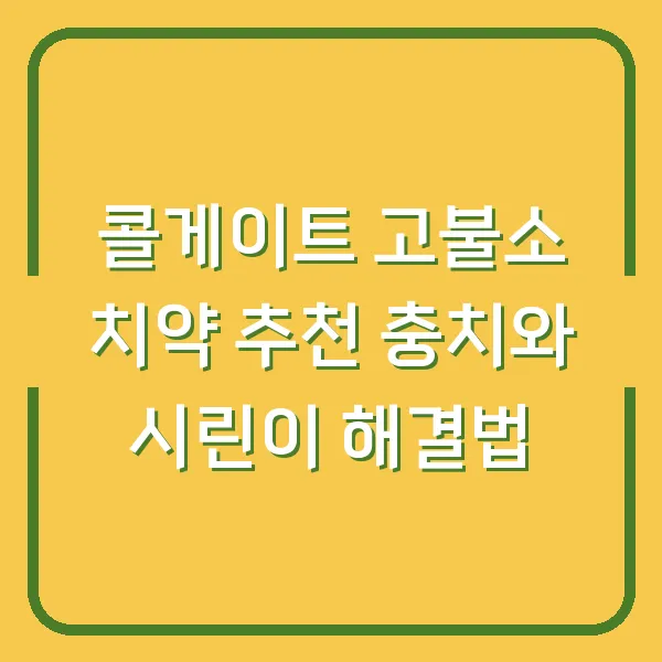 콜게이트 고불소 치약 추천 충치와 시린이 해결법