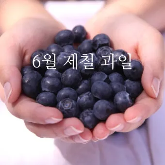 6월 제철 채소 추천 가격 영양소_7